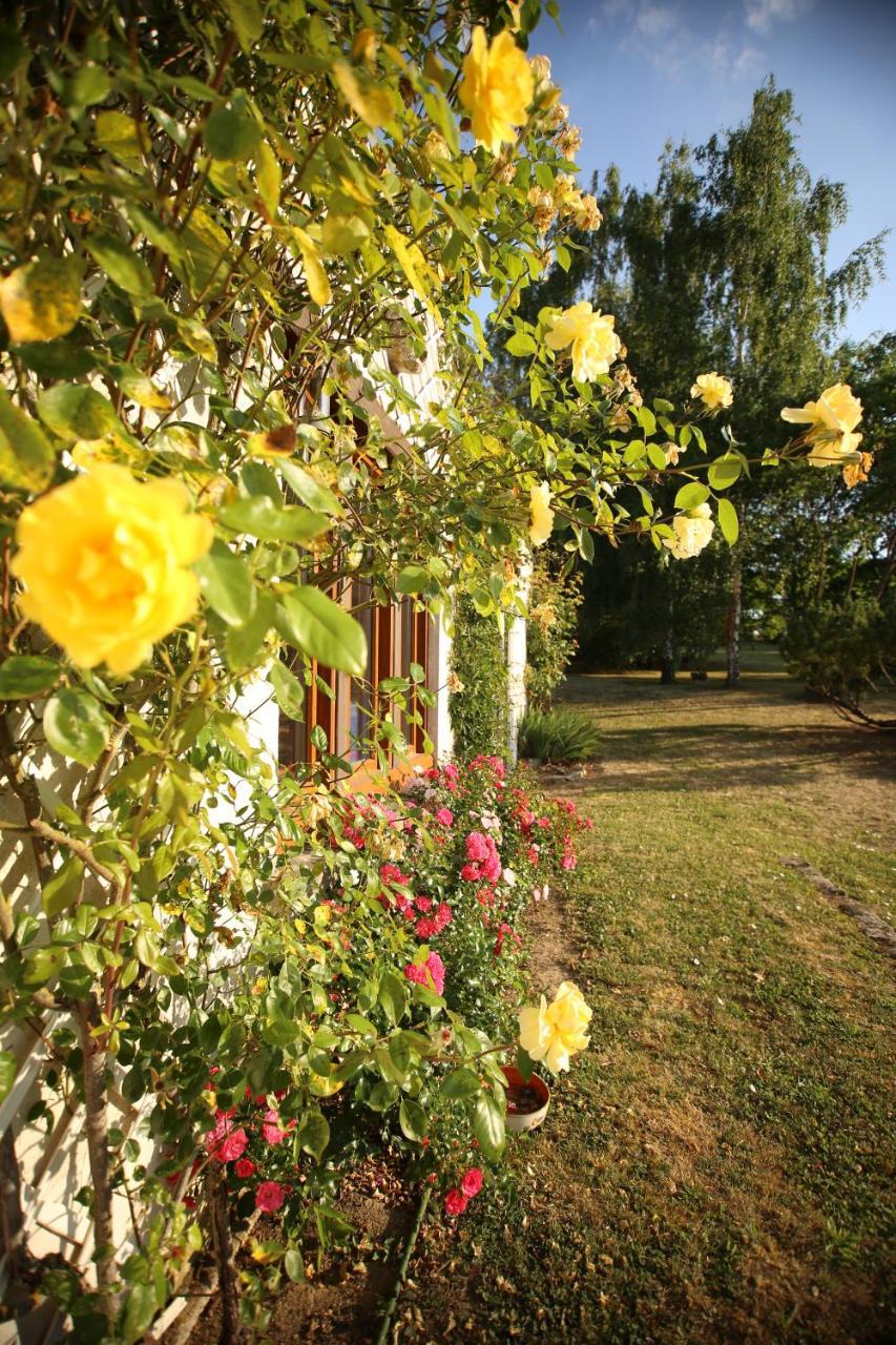 Bed and Breakfast Les Reves De Flamboin Gouaix Экстерьер фото